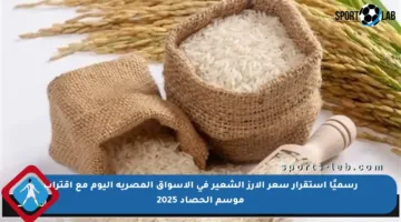 رسميًا استقرار سعر الأرز الشعير في الأسواق المصرية اليوم مع اقتراب موسم الحصاد 2025